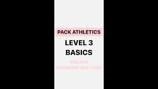 Level 3 Basic Skills