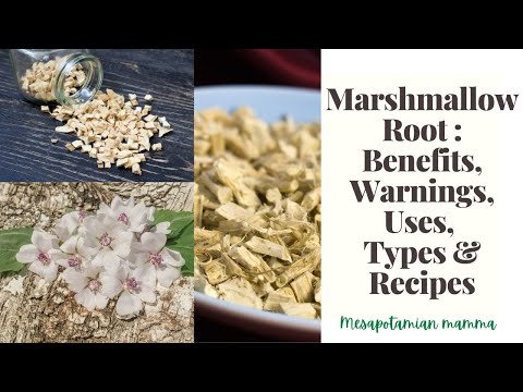 Marshmallow benefits, warnings, uses & proven recipes : IBS & Digestion Health