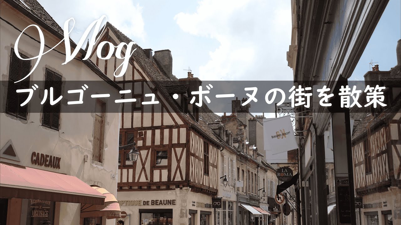 【Vlog en FRANCE】フランスリトリート・中世の名残を感じるボーヌ観光【夏のフランス】
