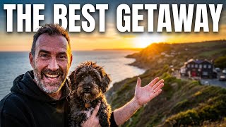 We Found the Most Pet-Friendly Family Room in East Sussex 🐾