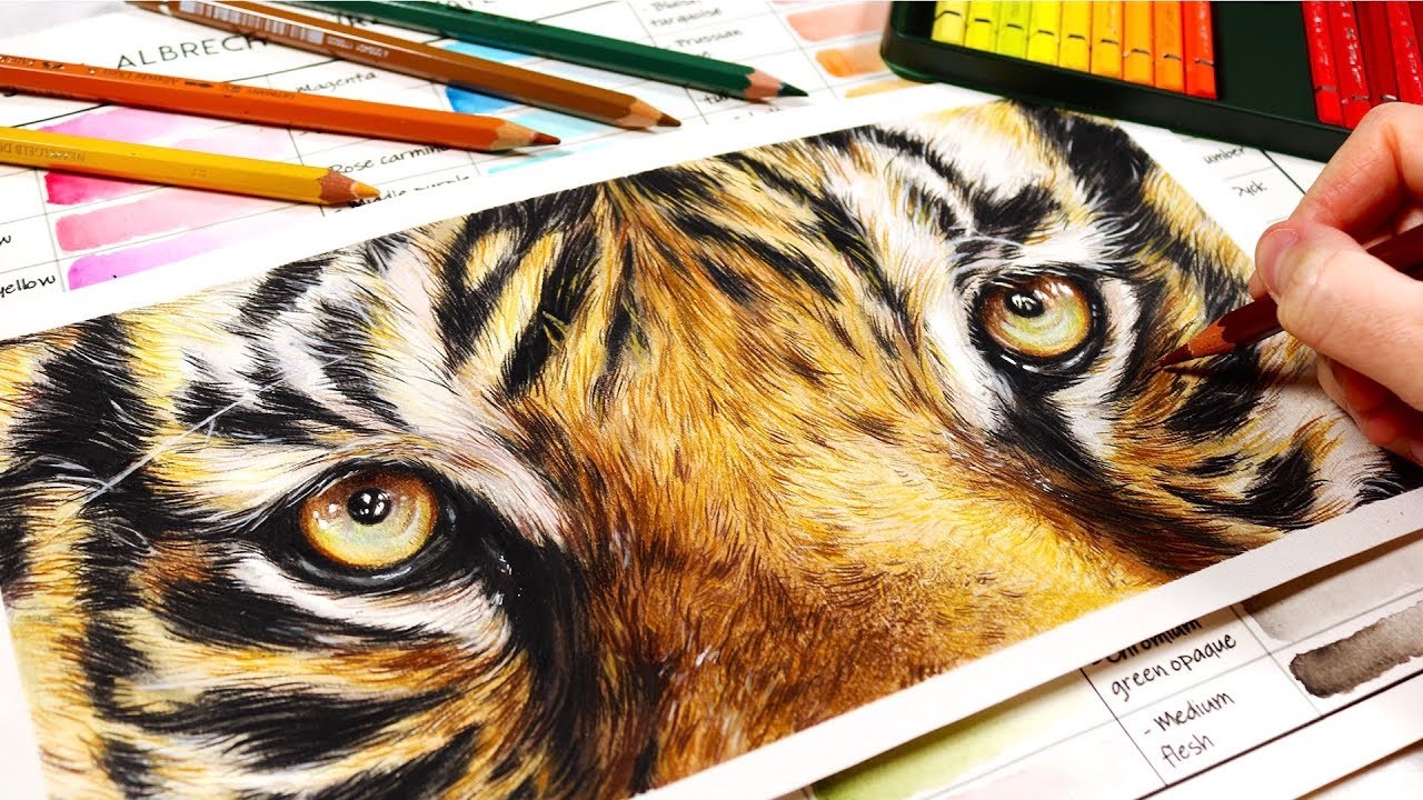 How to Draw Realism with Colored Pencils: Realistic Colored Pencil  Techniques — Art is Fun