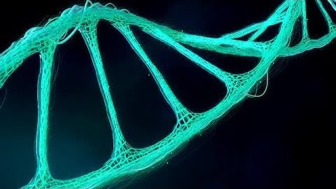 DNA Plexus Stock Motion Graphics