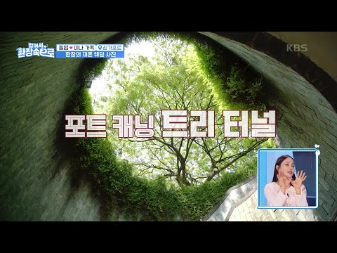 거침없는 장모님의 폭탄 발언 ㅋㅋㅋ😅웨딩 드레스가 벌칙으로? [걸어서 환장 속으로] | KBS 230514 방송