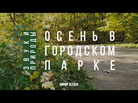 Звуки природы - Осень в городском парке. Для релаксации, сна, медитации 8 часов. ASMR