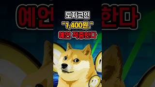 도지코인(DOGE) 가격 대상승 예언, 이루어지고 있다🔥