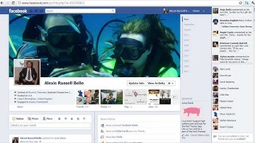 Facebook Timeline -- How To Set up The Facebook Timeline, Facebook Video Tutorials from Opace