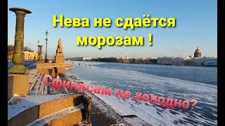 Неве морозы не по чём. 2021г. январь.