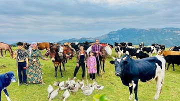 Epic Nomadic Migration Begins! The Most Beautiful Mountain Journey Ever!