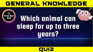 GENERAL KNOWLEDGE #15 | Part 15 | Trivia & Quiz Challenge