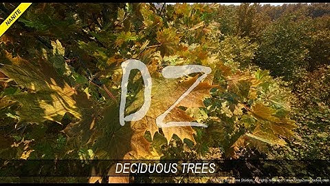 DZ Trees - Deciduous Trees (summer)