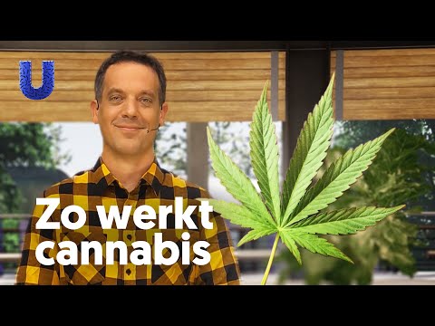 Video: Waar word afwerkings gereeld gebruik?