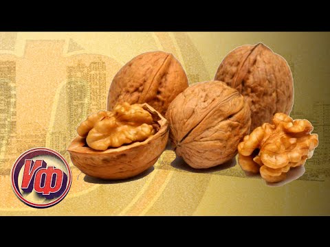 ГРЕЦКИЙ ОРЕХ: СВОЙСТВА ГРЕЦКОГО ОРЕХА! Интересные факты о грецком орехе!