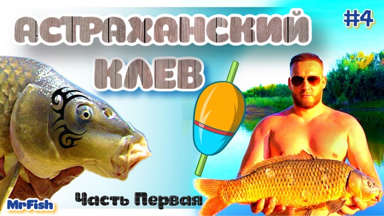 Сазан тут кишит! Астраханский клев. В поисках дикого сазана. Рыбалка Астрахань.Cнова снасти здрасьте