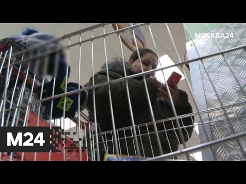 "Специальный репортаж": "семеро под лавкой" - Москва 24