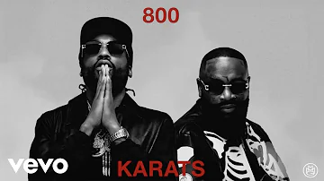 Rick Ross, Meek Mill - 800 Karats (Visualizer)