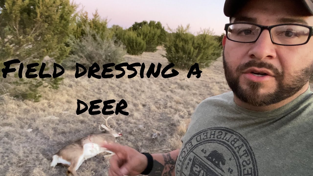 How To Gut A Deer YouTube