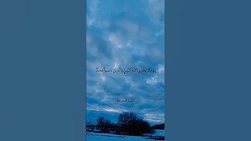 يا ايها الذين امنوا توبوا الى الله توبة نصوحا، سورة التحريم ماهر المعيقلي _quran _قرآن _