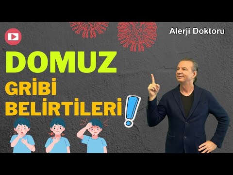 Domuz gribi nedir? Domuz Gribi Belirtileri Nelerdir? - Prof. Dr. Ahmet Akçay