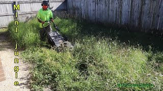 The Tiny Yard With A Really Overgrown Grass | Satisfying Transformation #asmr