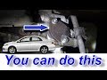 Toyota Corrolla Oil Leak You Can Fix Yourself SUPER COMMON