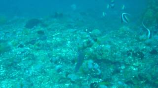 20100509湯瀬２.MOV