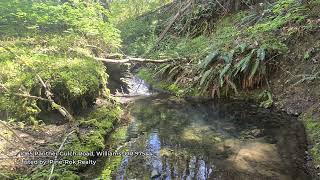 1065 Panther Gulch Road video tour