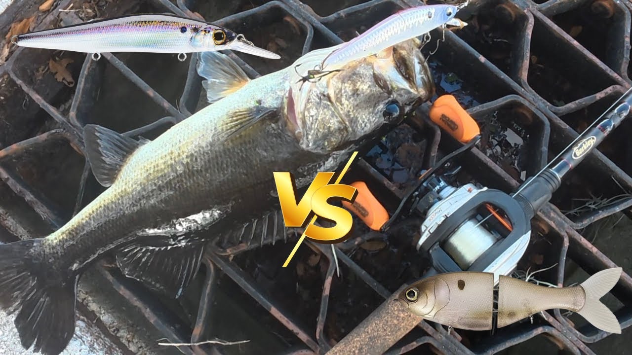 Swimbait vs Jerkbait Challenge (Brutal Fishing Day!)