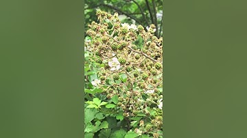 قال الله تعالى في سورة القصص الآية رقم 16 قال رب إني ظلمت نفسي فاغفر لي فغفر له إنه هو الغفور الرحيم