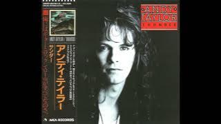 Andy Taylor - When the Rain comes down [Japan Bonus] (Melodic-Rock)
