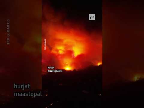 Video: Missä maissa on metsäpaloja?