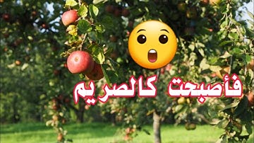 سورة القلم بصوت القارئ الشاب عصام القطامي تلاوة جميلة... وجميع تلاواته في الوصف