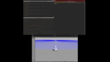 WorkFar Syntro Collaborative Humanoid Robot Locomotion Programing in Gazebo, Part 3