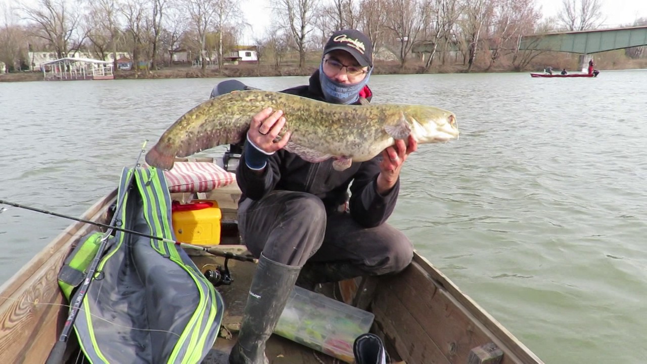 Pergetés Szalai Gáborral - 22. adás: Kora tavaszi gumihalas harcsapergetés