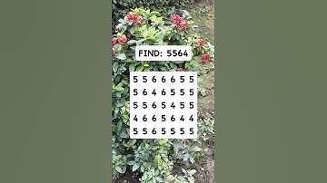 Observation Visual Test: 5 Seconds For You To Spot  5564. Try Your Skills!  #search #puzzle #shorts