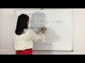 Basic Accounting #1 - accounting equation