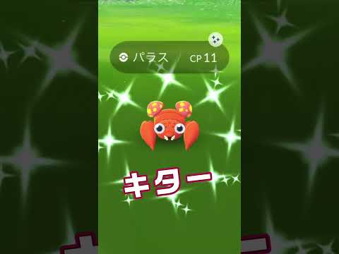 ポケモンGO 棚からぼたもち！ #ポケモンgo #色違い #パラス