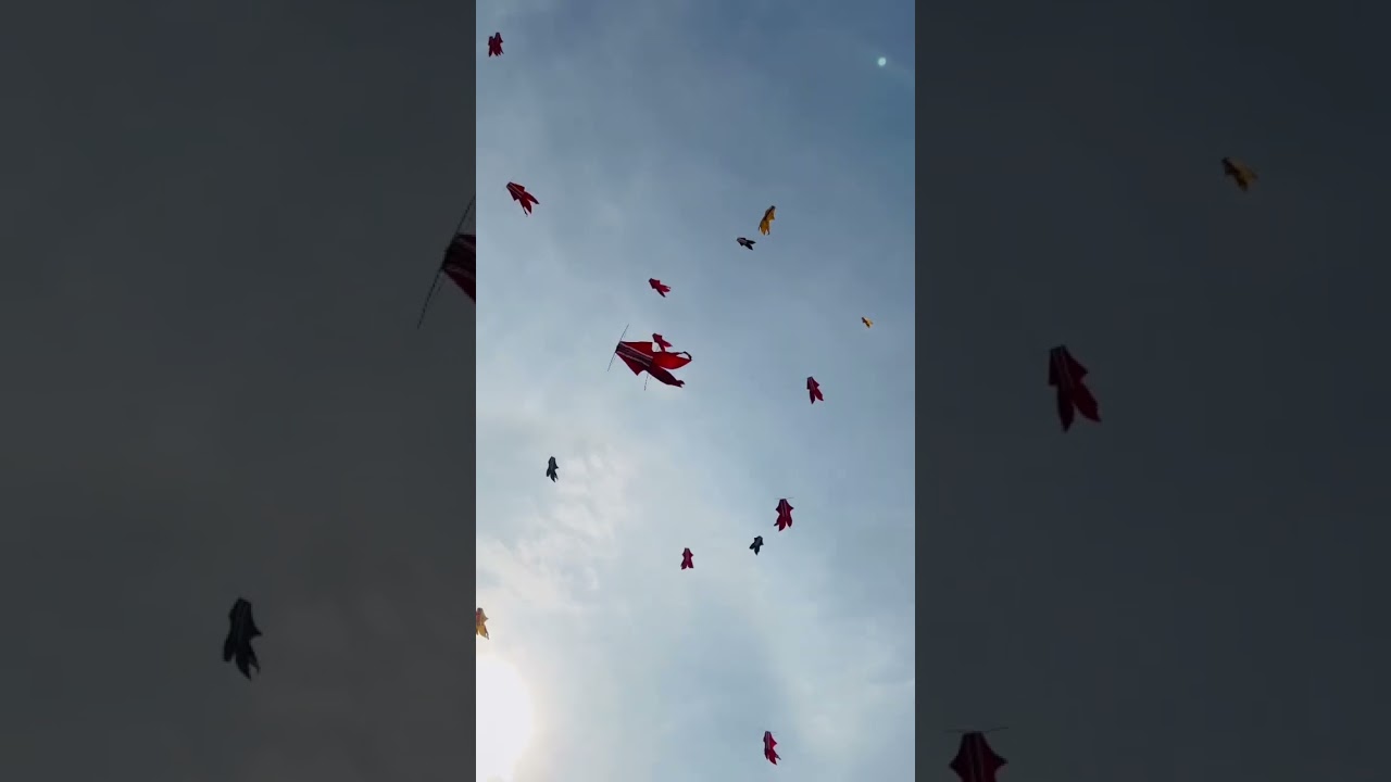 Ni Moleh dan Rare Angon