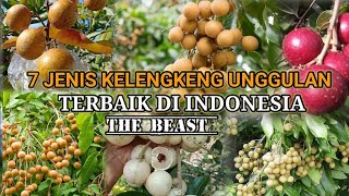 7 Best Longan Fruit Varieties That Are Easy to Grow in Indonesia