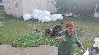 Şu Başimiza Gelene Bakin Kantoron Yaği Hünnap Hasati