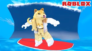 O DOG SURFISTA | Roblox | Tsunami Game screenshot 3