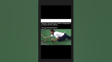 The Guy Learning Python 😂😂 #programming #coding #memes #shorts