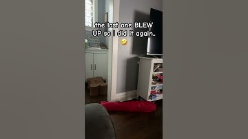 Perfect loop #loop #perfect #funny #memes