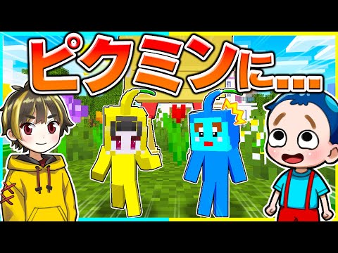 ⭐寝て起きたらピクミンに生まれ変わってた...🤣【まいくら/マインクラフト】