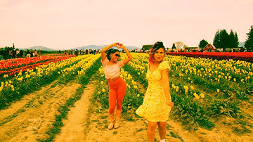 LAW ft. Boss Cochella Official Music Video