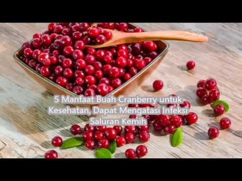5 Manfaat Buah Cranberry untuk Kesehatan, Dapat Mengatasi Infeksi