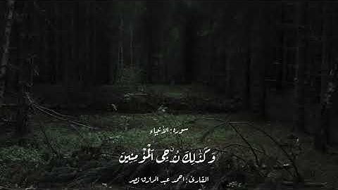 سورة الأنبياء ❤️‍🩹بصوت الشيخ أحمد عبدالرازق نصر 🩵@elnasr1990