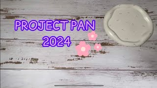 Project pan 2024 / Использовать и выбросить