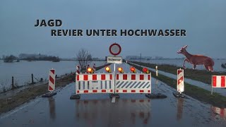 Jagdrevier in Niedersachsen unter Hochwasser - Jagdkrone