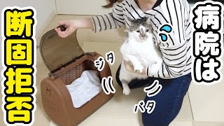 A cat resisting desperately when I tried to take it to the hospital【Health Examination】