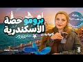 برومو مراجعة تالته ثانوي الإسكندرية 